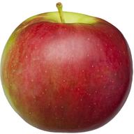 Jonafree Apples