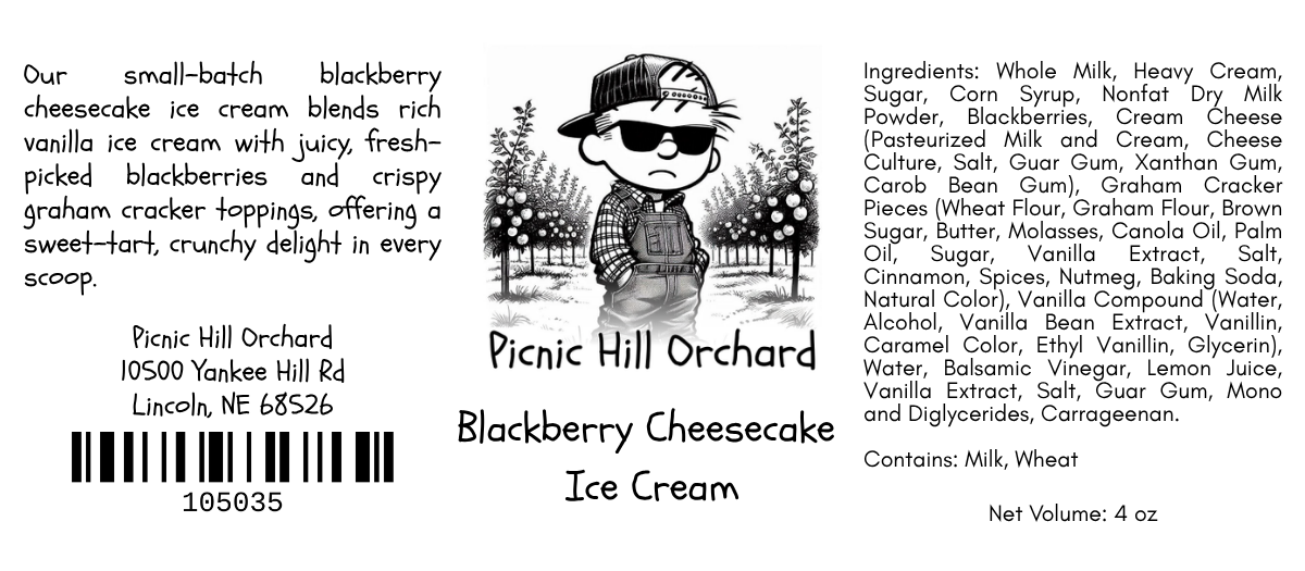 Blackberry Cheesecake Ice Cream