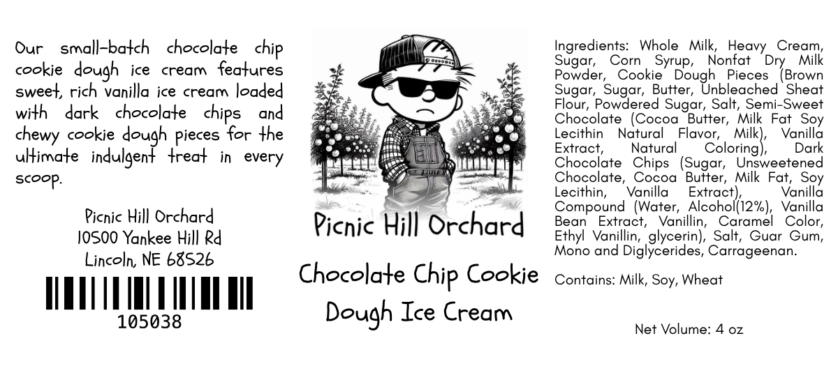 Chocolate Chip Cookie Dough Ice Cream