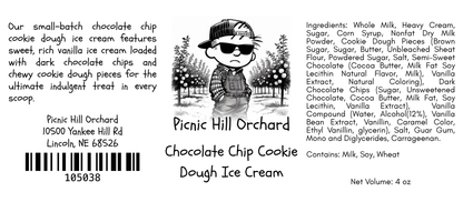 Chocolate Chip Cookie Dough Ice Cream
