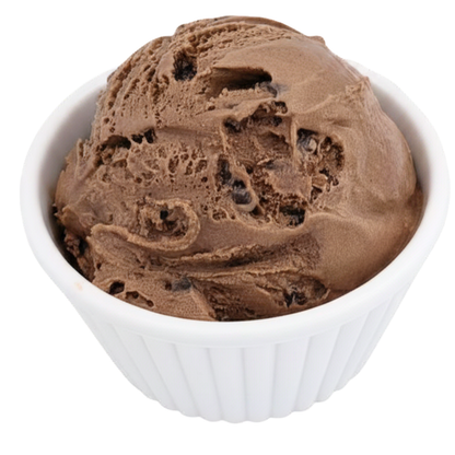 Chocolate Chocolate Chip Ice Cream