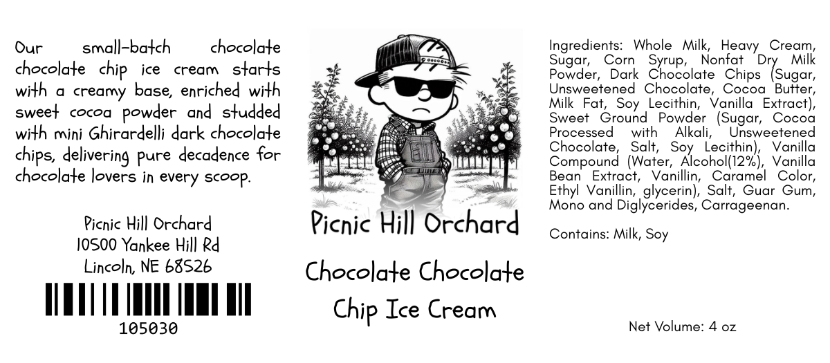 Chocolate Chocolate Chip Ice Cream