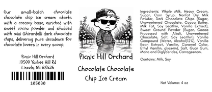 Chocolate Chocolate Chip Ice Cream