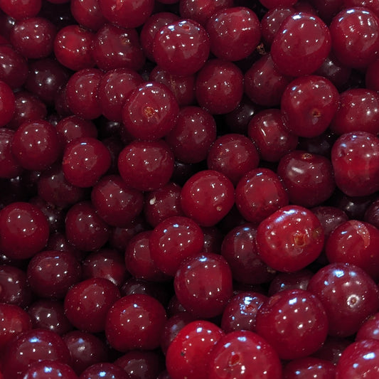 Red berries in a red bowl
