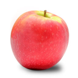 Cripps Pink Apple
