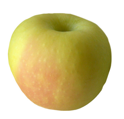 Pristine Apples