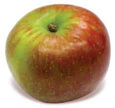 Baldwin Apples